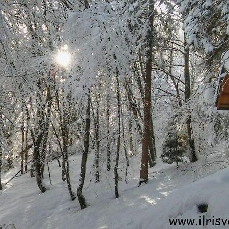 Casa Nella Natura Il Risveglio Degli Elfi Pedavena Exterior foto